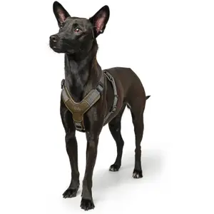 Arreios para cães Hunter Aalborg Mixed image-2