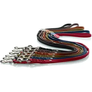 Hundeleine aus t Hunter Solid Education image-3