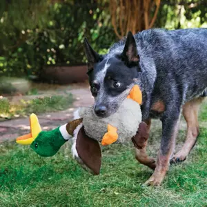 Juguete para perro Hunter KONG Shakers Honkers Duck image-2