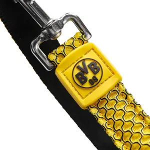 Hundkoppel Hunter Hilo BVB image-2