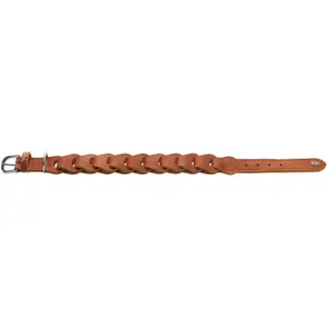 Collier pour chien Hunter solide Education Chain image-2