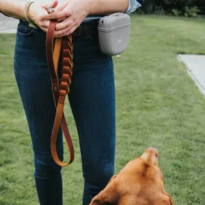 Laisse pour chien Hunter Solid Education Chain image-4