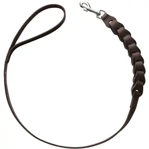 Dog leash Hunter Solid Education Chain image-0