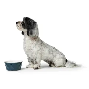 Tigela para cães Hunter Eiby image-1