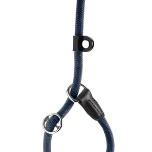 Hundlina Hunter Retriever Freestyle Eiby image-2