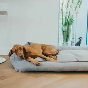 Coussin pour chien Hunter Eiby image-4