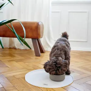 Bol para perros Hunter Osby image-1