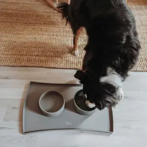 Bol para perros Hunter Osby image-2