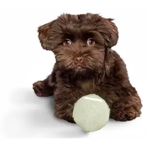 Hundboll Hunter Kisa image-1