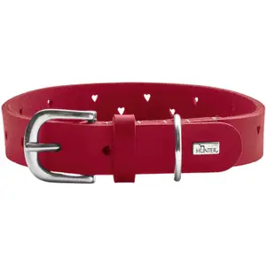 Coleira cão Hunter Aalborg Soul image-0