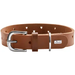 Collar para perro Hunter Aalborg Soul image-0