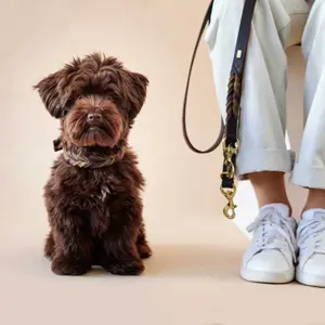 Adjustable dog leash Hunter Solid Education Duo image-3