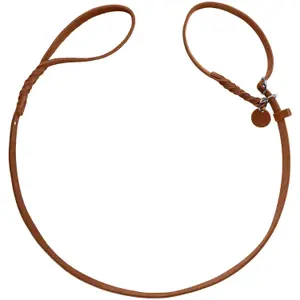 Retriever dog leash Hunter Solid Education image-0