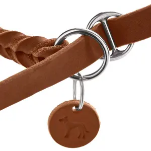 Retriever dog leash Hunter Solid Education image-2
