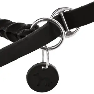 Leine für Retriever-Hunde Hunter Solid Education image-2