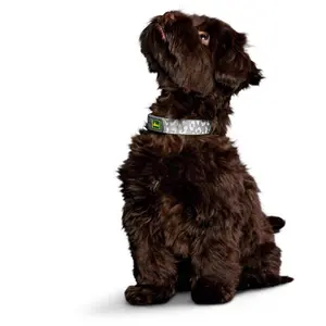 Coleira reflectora e fluorescente para cães Hunter Convenience image-3