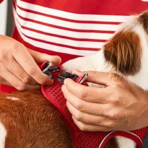 Dog harness Bayern Munich Hilo Comfort image-4