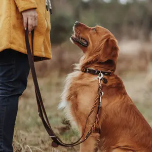 Adjustable rope dog leash Hunter Solid Education image-1