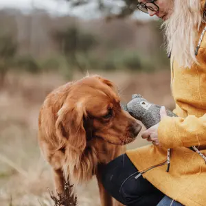 Brinquedo de peluche para cães Hunter Billund image-1
