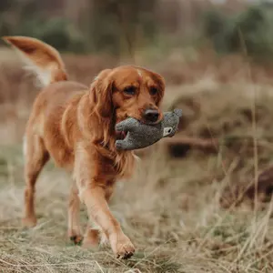 Brinquedo de peluche para cães Hunter Billund image-2