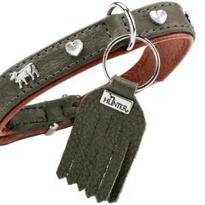 Hundehalsband Hunter München image-3
