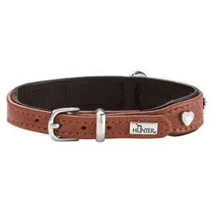 Hundhalsband Hunter München image-2