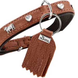 Hundhalsband Hunter München image-4