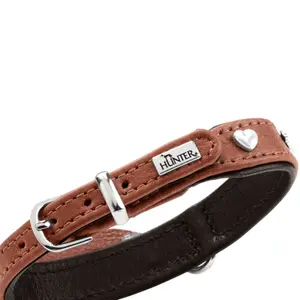 Hundhalsband Hunter München image-5