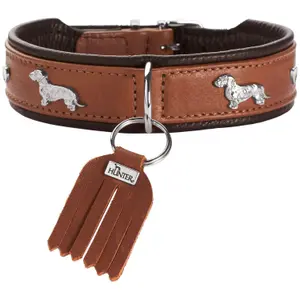 Dachshund halsband Hunter München image-0