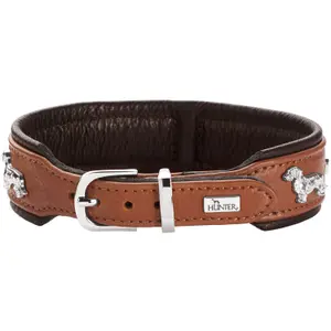 Dachshund halsband Hunter München image-1