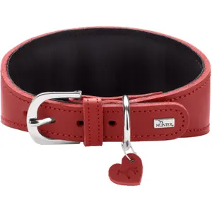 Halsband för vinthundar Hunter Love image-1