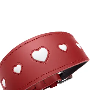 Halsband för vinthundar Hunter Love image-3