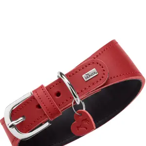 Halsband för vinthundar Hunter Love image-4