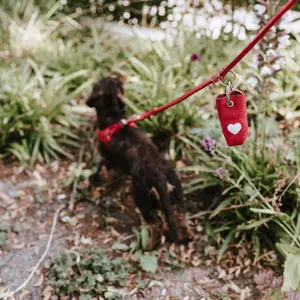 Sac à crottes pour chien Hunter Love image-4