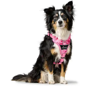 Hundsele Hunter Divo Camouflage image-2