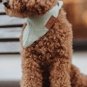 Hondenbandana Hunter Nola image-1