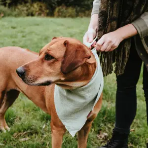Hondenbandana Hunter Nola image-2
