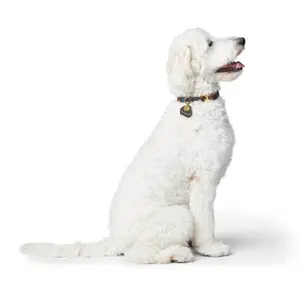Hundhalsband Hunter Sansibar image-2