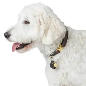 Hundhalsband Hunter Sansibar image-3