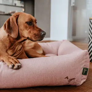 Dog bed Hunter Inari image-4