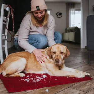 Dog mat Hunter Waterloo image-2