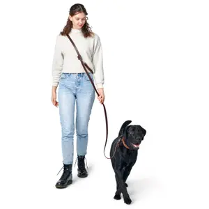 Dog leash Hunter Aalborg image-1