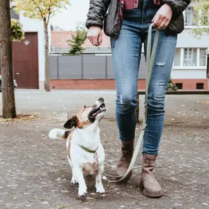 Dog leash Hunter Inari image-3