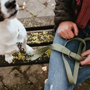 Dog leash Hunter Inari image-4