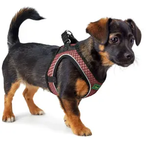 Hundsele Hunter Hilo Comfort image-1