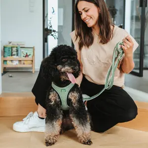 Hundlina Hunter Hilo image-2