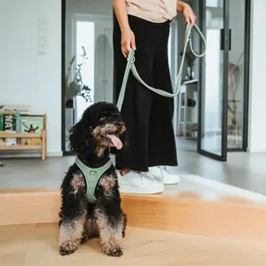 Hundlina Hunter Hilo image-3