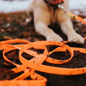 Hundlina Hunter Convenience image-5