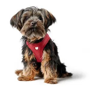 Hundsele Hunter Love image-2