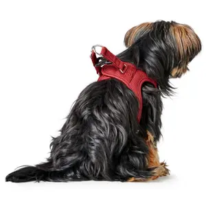 Hundsele Hunter Love image-3